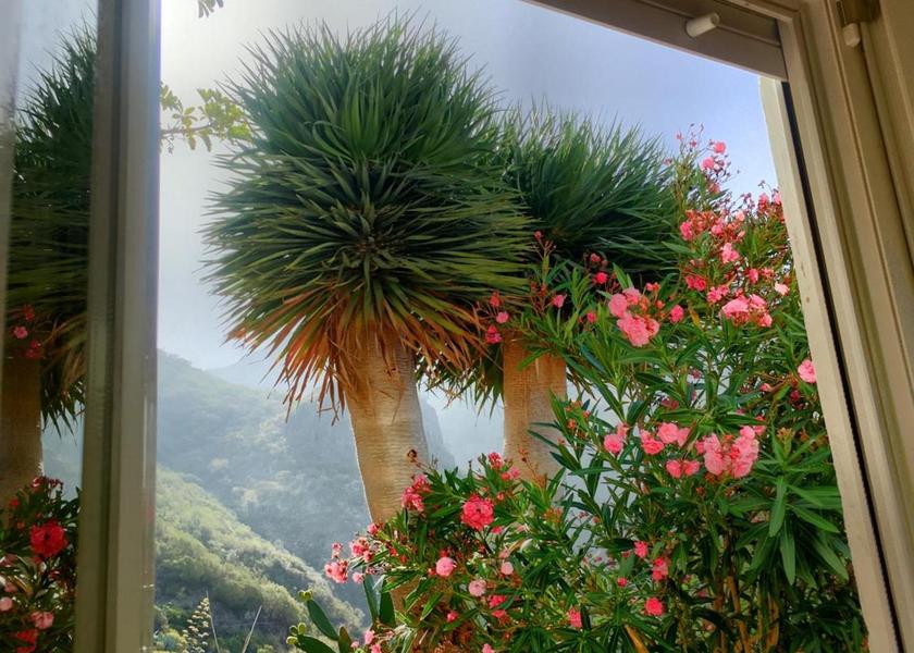 Canary Islands Buenavista del Norte View