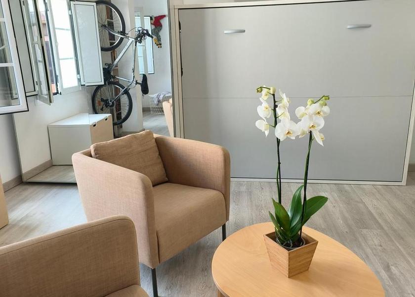 Canary Islands Santa Cruz de Tenerife Guestroom