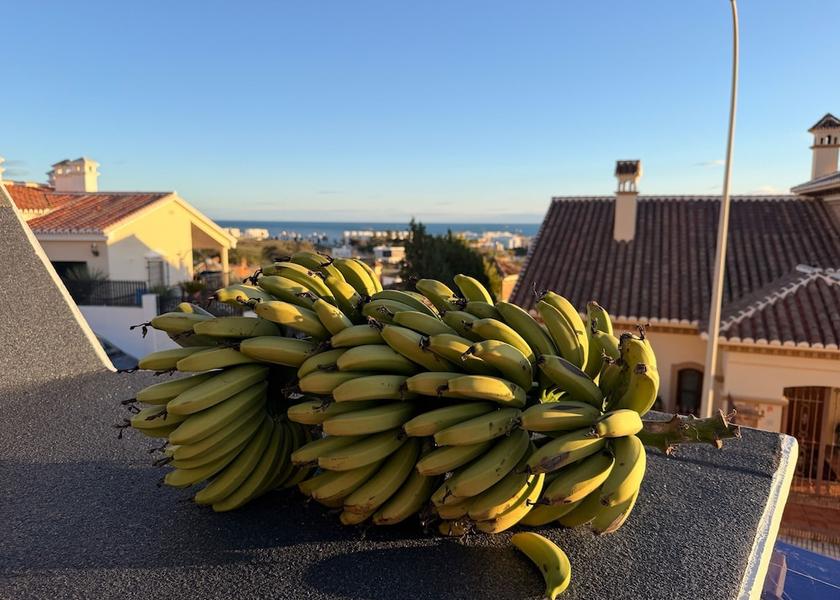 Andalusia Velez-Malaga View from property