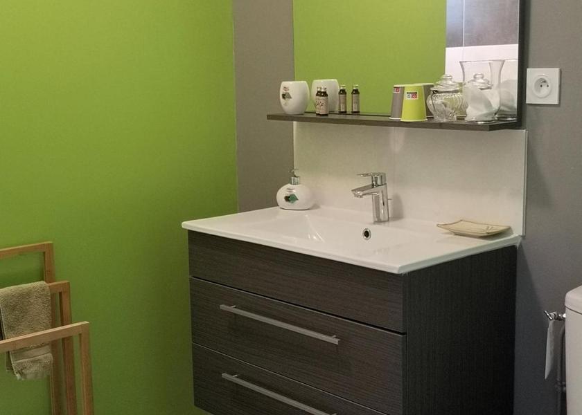 Centre-Loire Valley Veuzain-sur-Loire Double Room with Private Bathroom