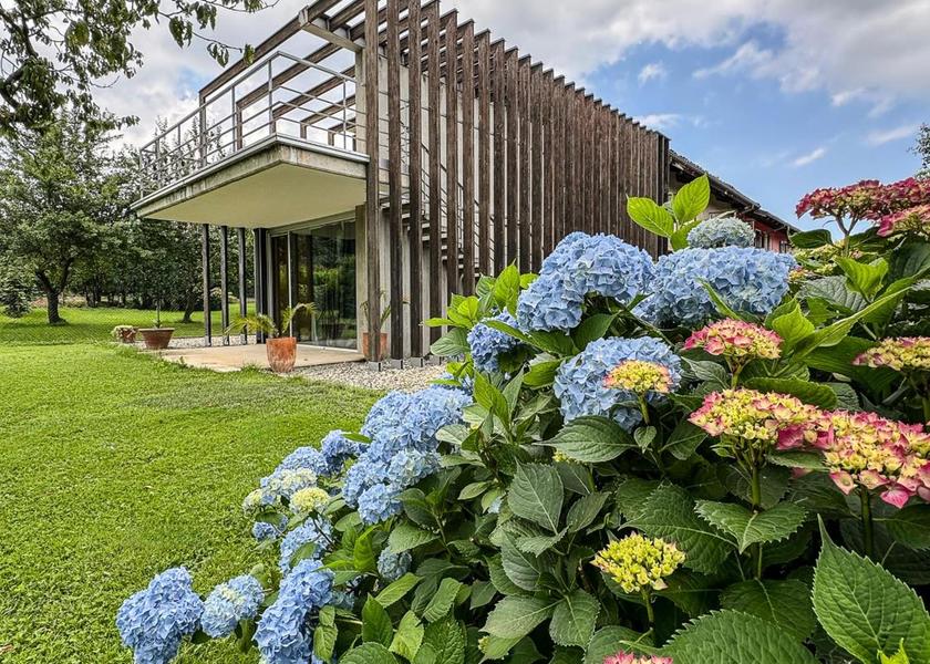 Surrounding environment