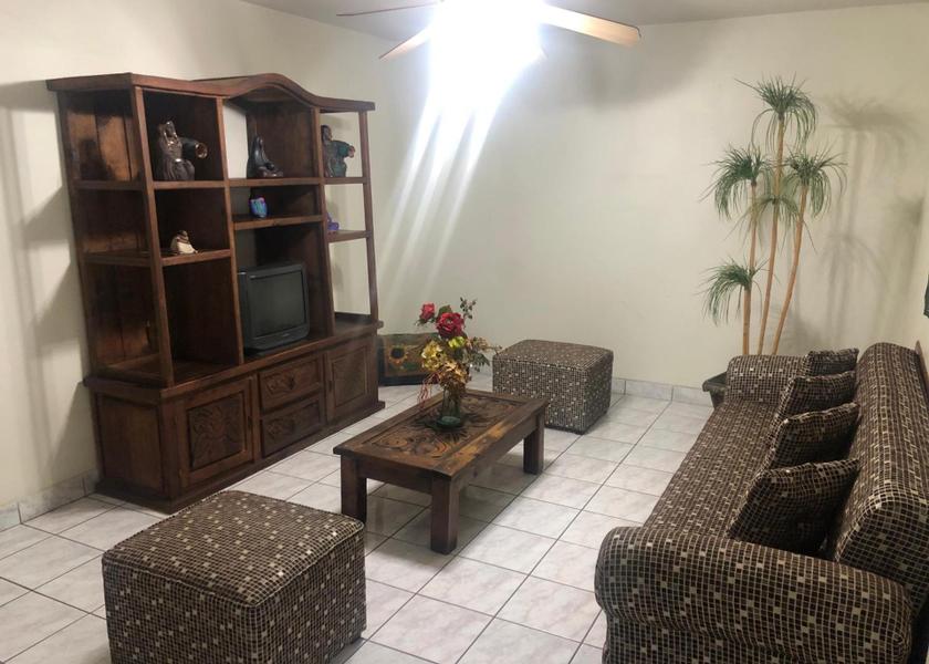 Chihuahua Delicias 