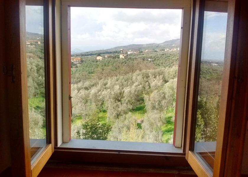 Tuscany Lamporecchio 