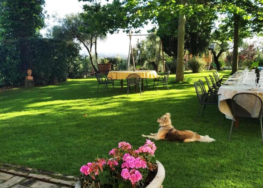 Tuscany Lamporecchio Outdoors