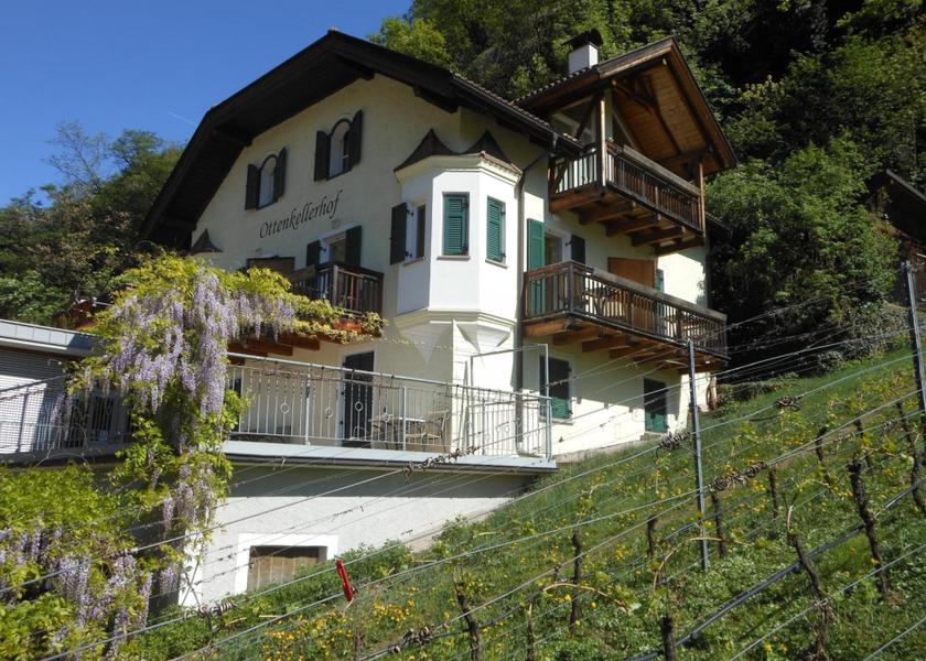 Surrounding environment