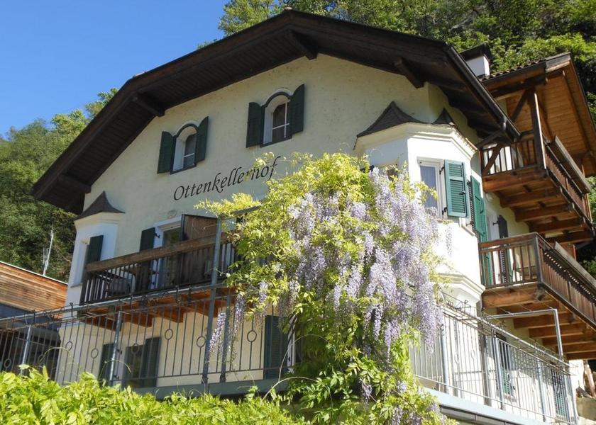 Surrounding environment