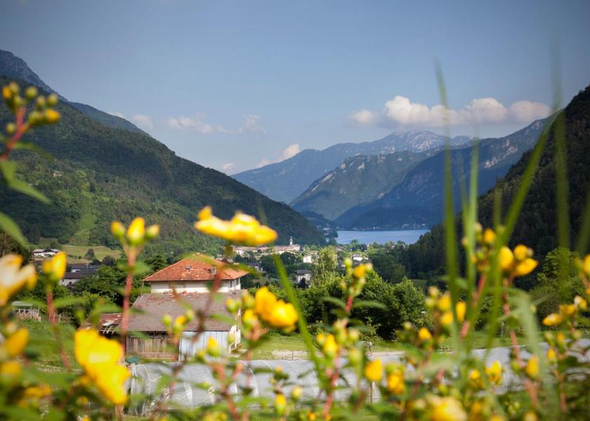 Trentino-Alto Adige Ledro Surrounding environment