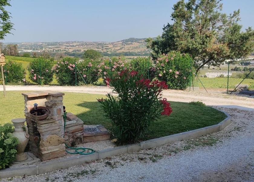 Marche Potenza Picena Surrounding environment