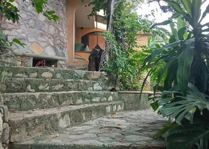 San Luis Potosi Xilitla 