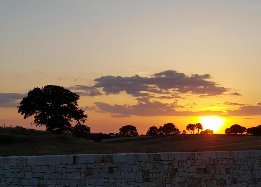 Surrounding environment