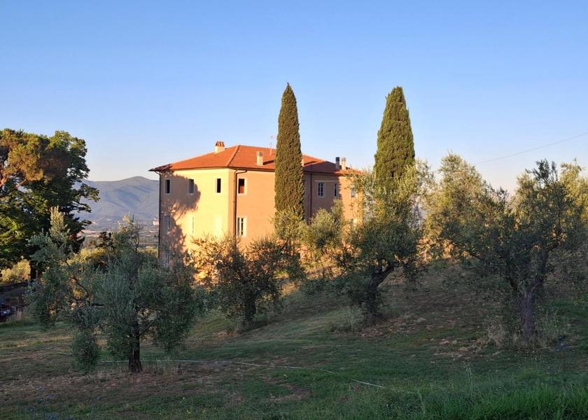 Tuscany Capannori Garden