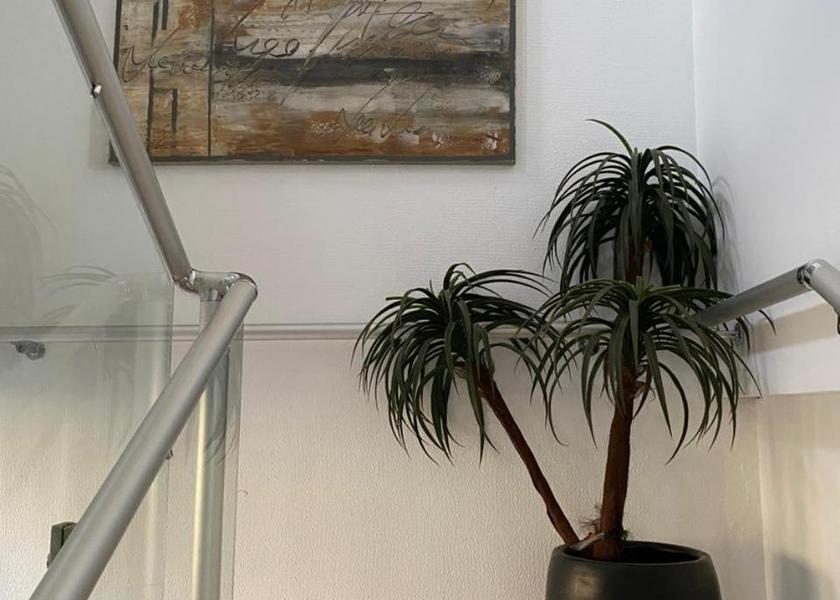 São Paulo State São José do Rio Preto 