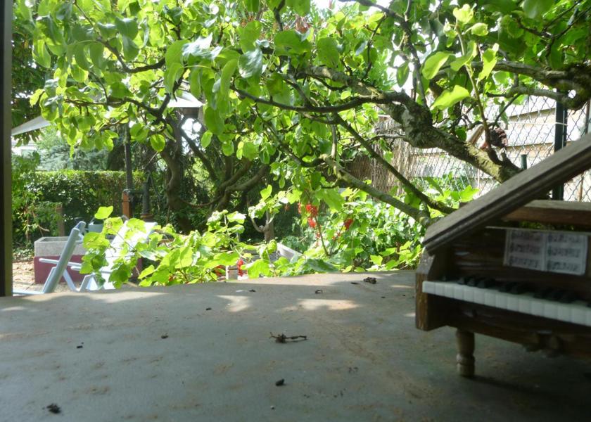 Grand Est Schiltigheim Garden
