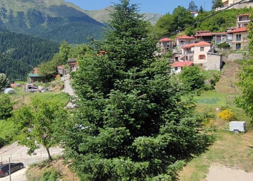 Thessaly Lake Plastiras 