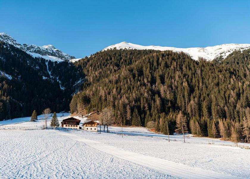 Surrounding environment