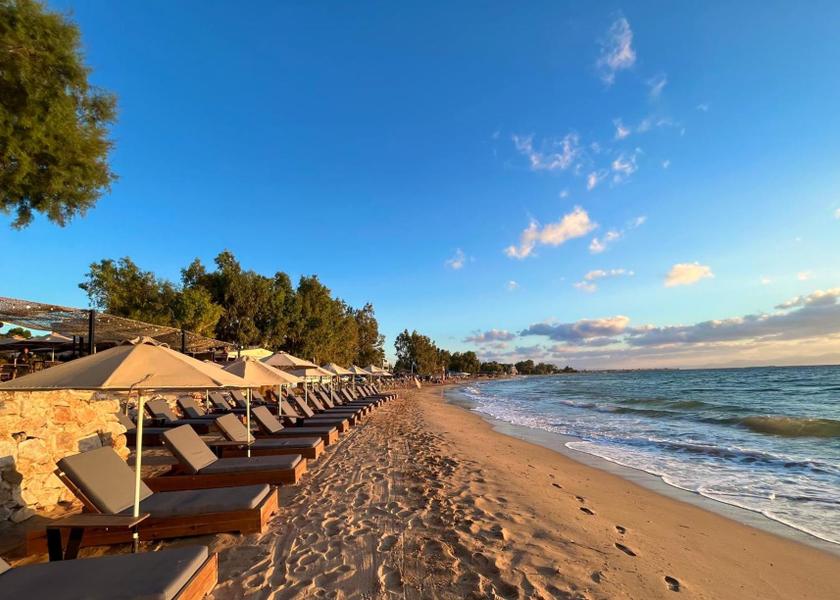 Attica Spata-Artemida Nearby attraction