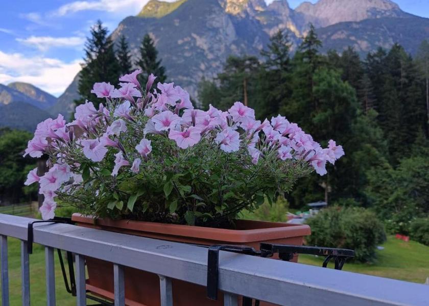 Veneto Auronzo di Cadore 