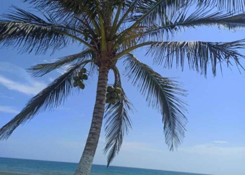 Veracruz Tecolutla 