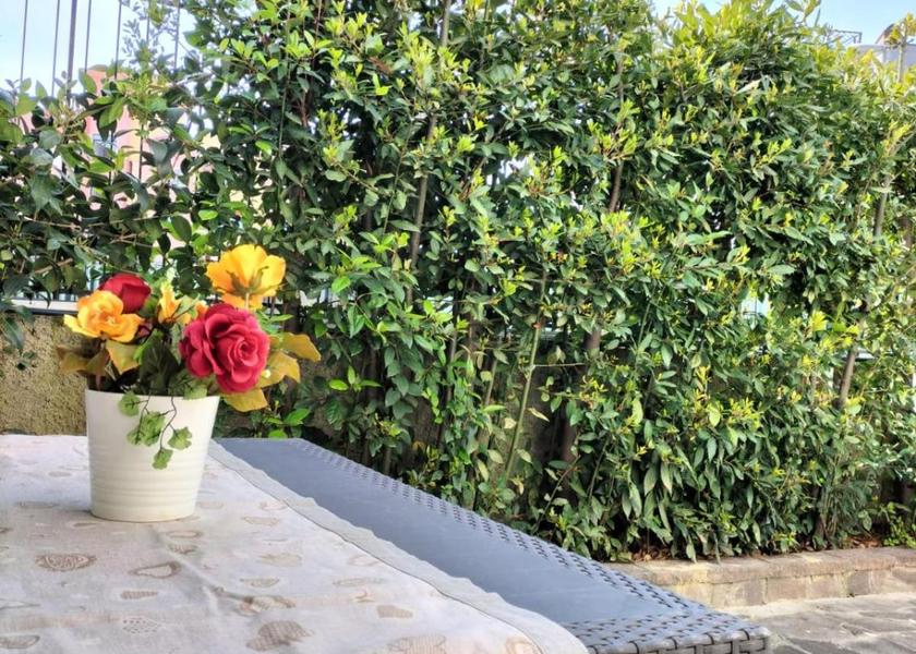 Campania Montecorvino Pugliano Garden