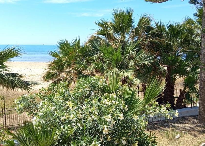 Surrounding environment