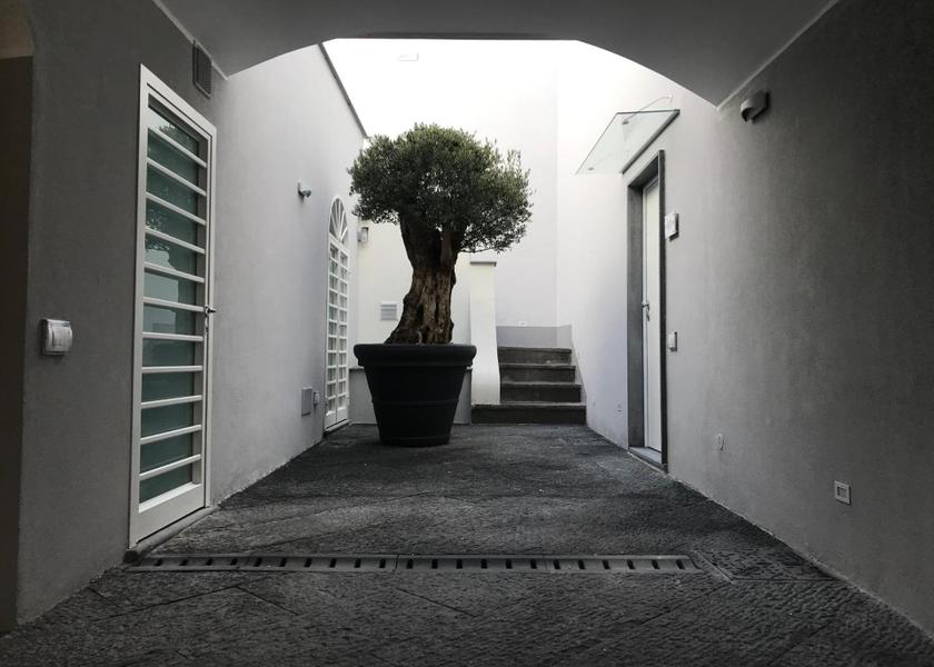 Campania Trecase 