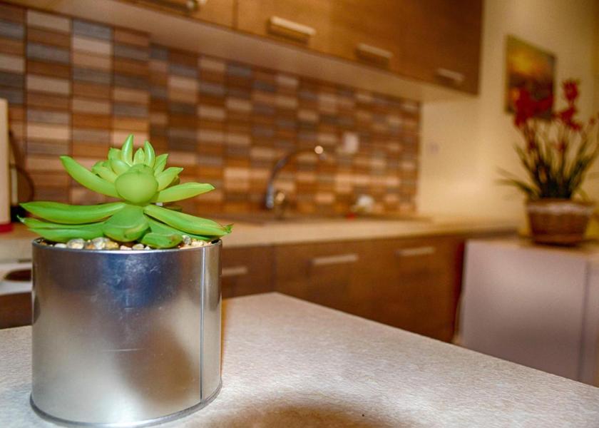 Western Greece Archaia Olympia 