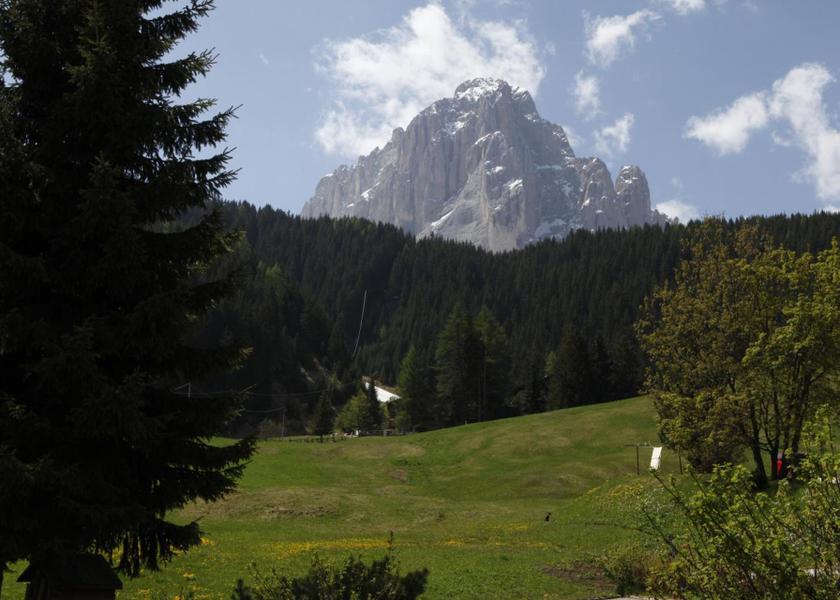 Trentino-Alto Adige Selva di Val Gardena View