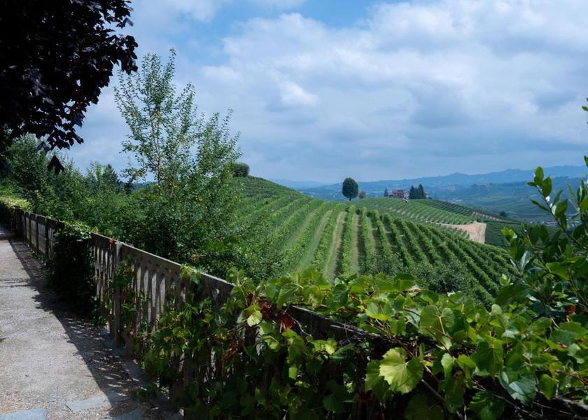 Piedmont Barolo 