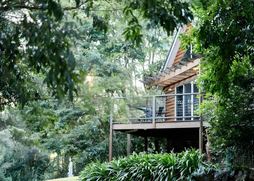 Queensland Tamborine Mountain 