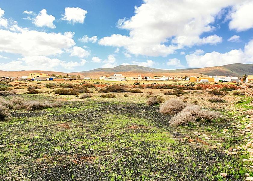 Canary Islands Antigua 