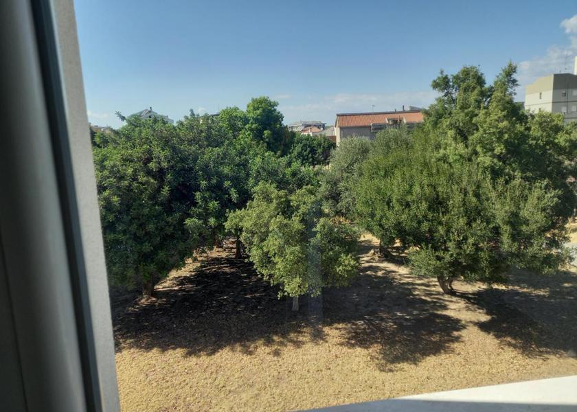 Surrounding environment