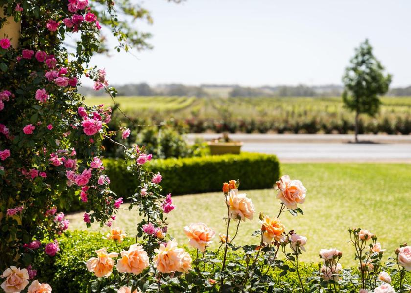 South Australia Tanunda Garden