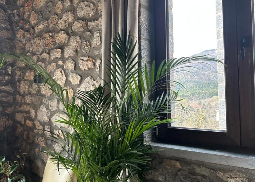 Peloponnese Region Tripoli Surrounding environment