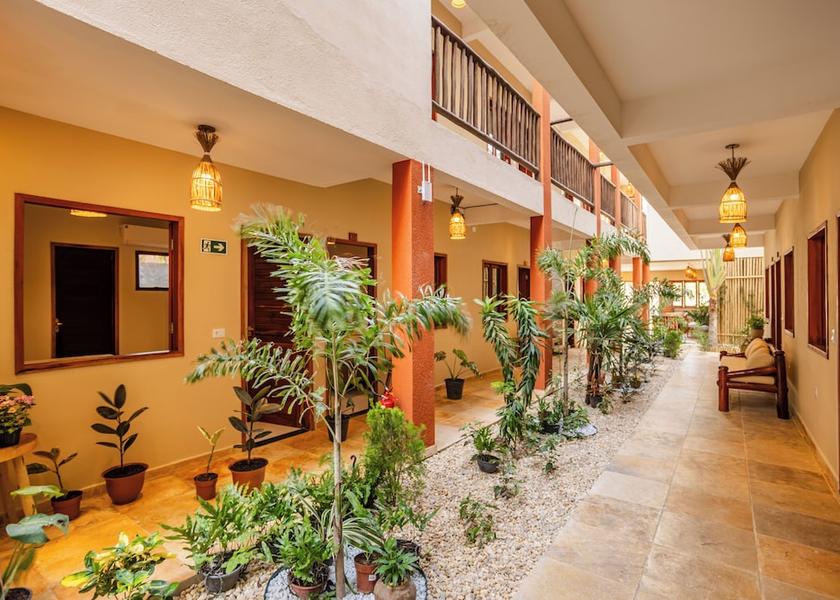 Ceará Jijoca de Jericoacoara Garden