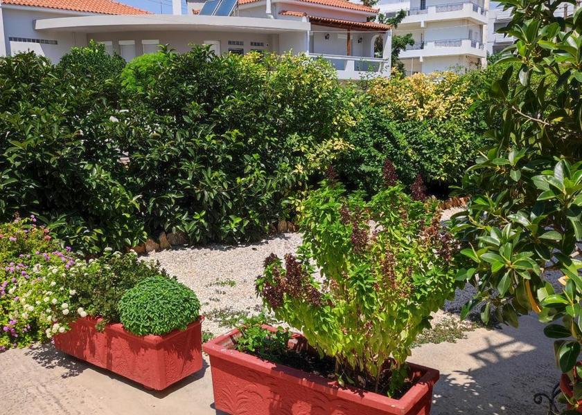 Attica Markopoulo Mesogaias Garden