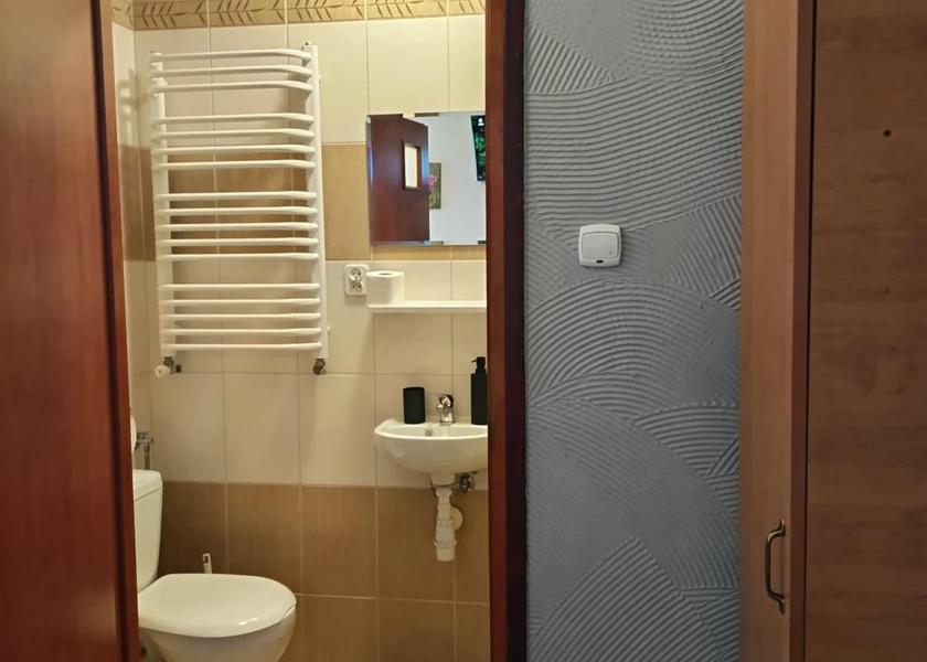 Lesser Poland Voivodeship Bialy Dunajec Double Room with Private Bathroom