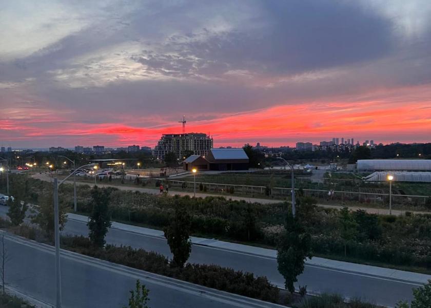 Surrounding environment