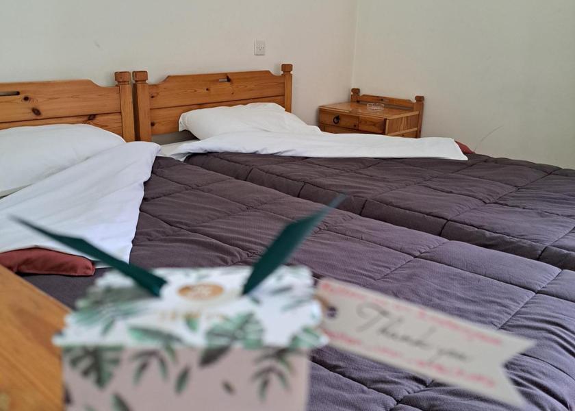 Central Greece Distomo-Arachova-Antikyra Twin Room with Balcony