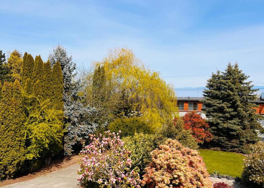 Surrounding environment