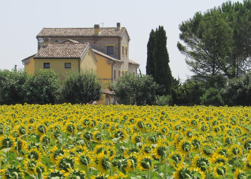 Marche Osimo Facilities