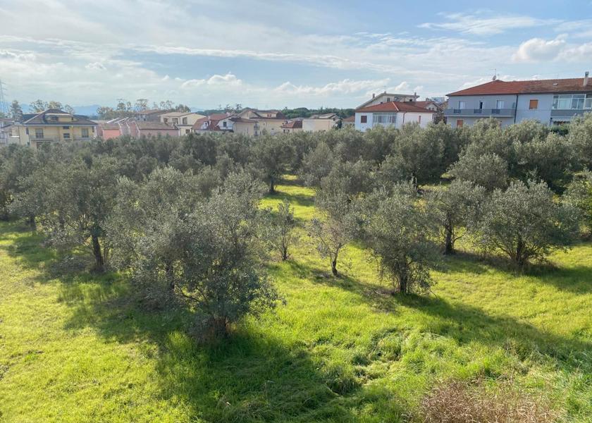 Surrounding environment