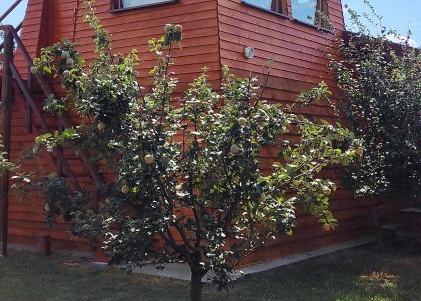 Vojvodina Novi Sad Exterior view