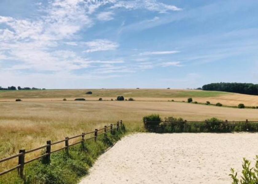 Surrounding environment