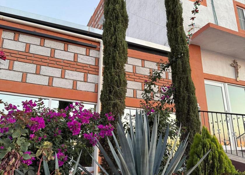 Guanajuato San José Iturbide Garden