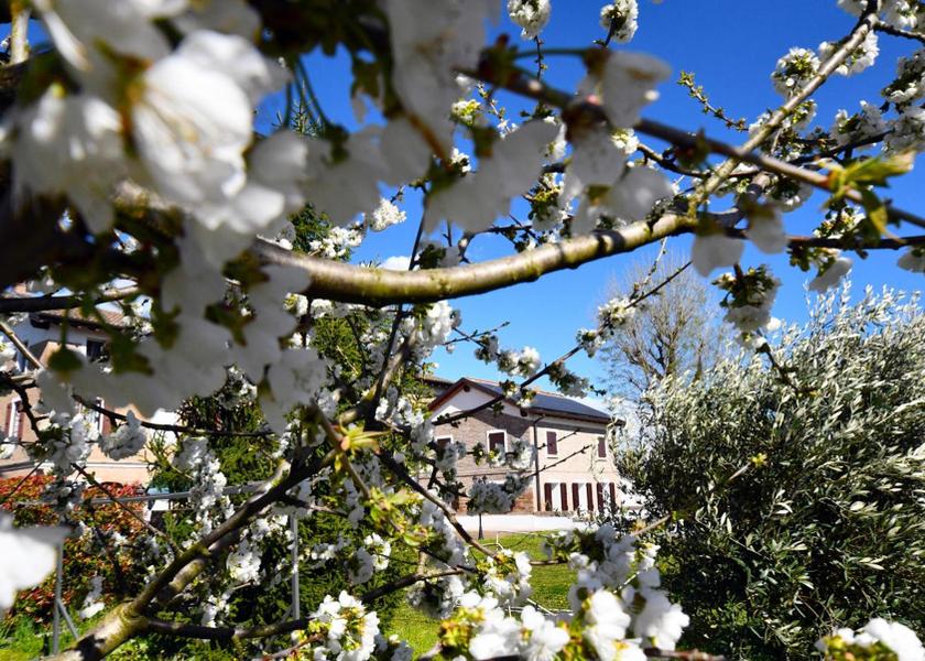 Emilia-Romagna Reggio nell'Emilia 