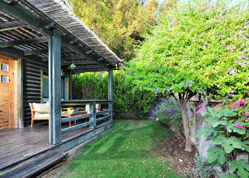 Surrounding environment