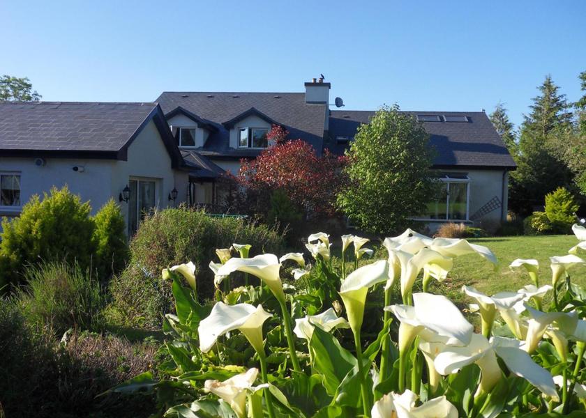 County Kerry Killarney Garden