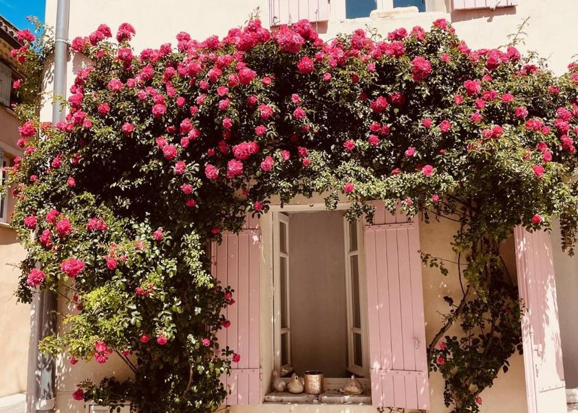 Surrounding environment