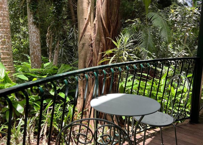 Queensland Tamborine Mountain 