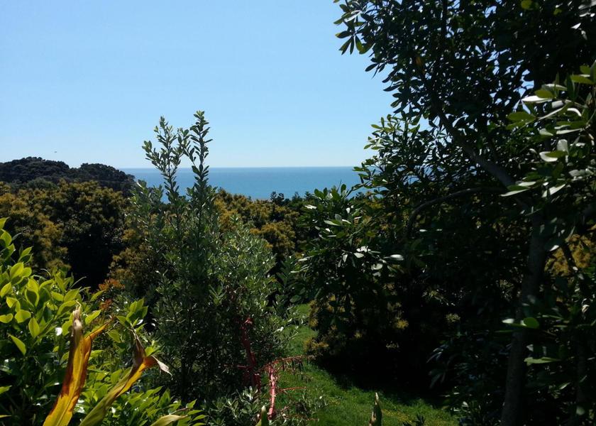 Bay of Plenty Region Opotiki View